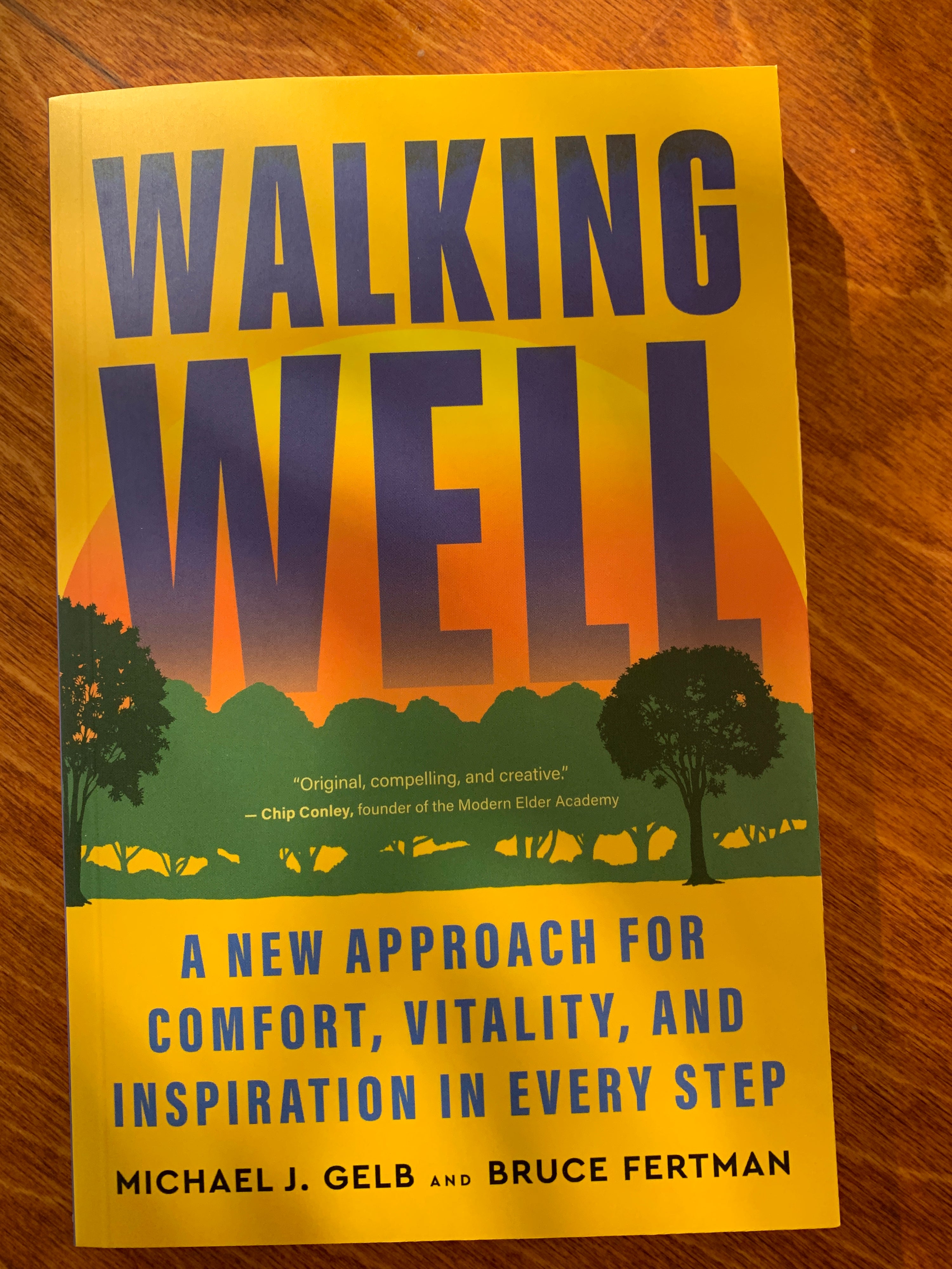 Walking Well: A New Approach for Comfort, Vitality and Inspiration In Every Step