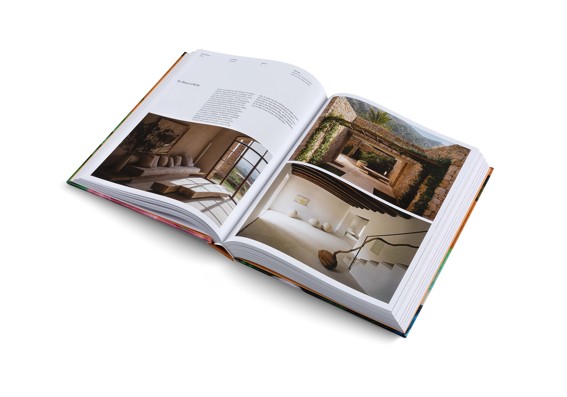 Designed to Stay (Design Hotels Book)