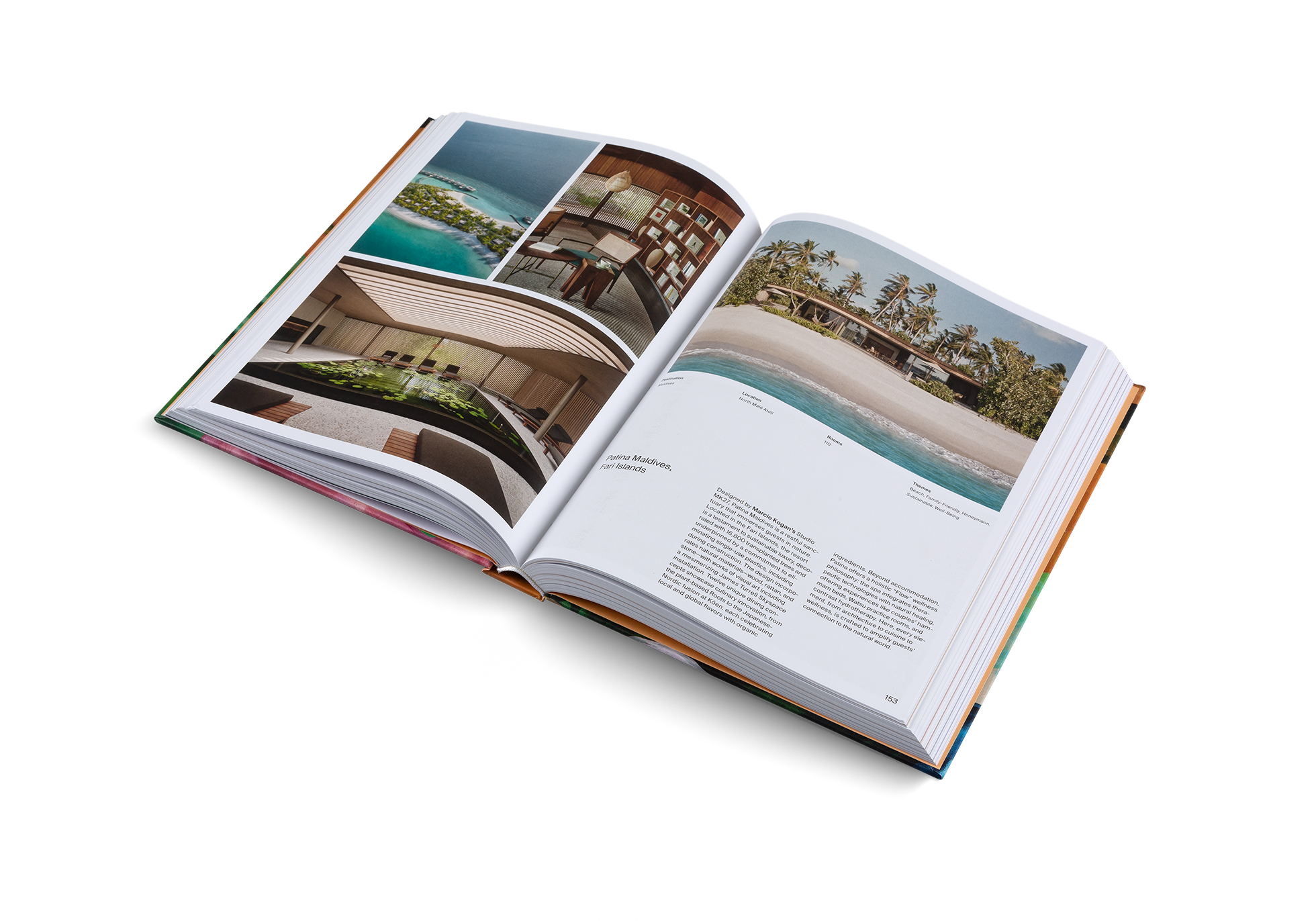 Designed to Stay (Design Hotels Book)
