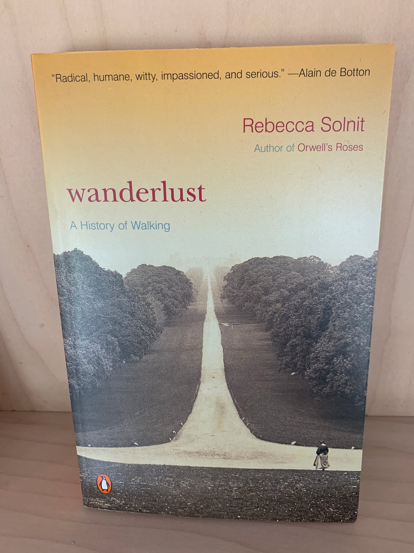 Wanderlust - A History of Walking by Rebecca Solnit