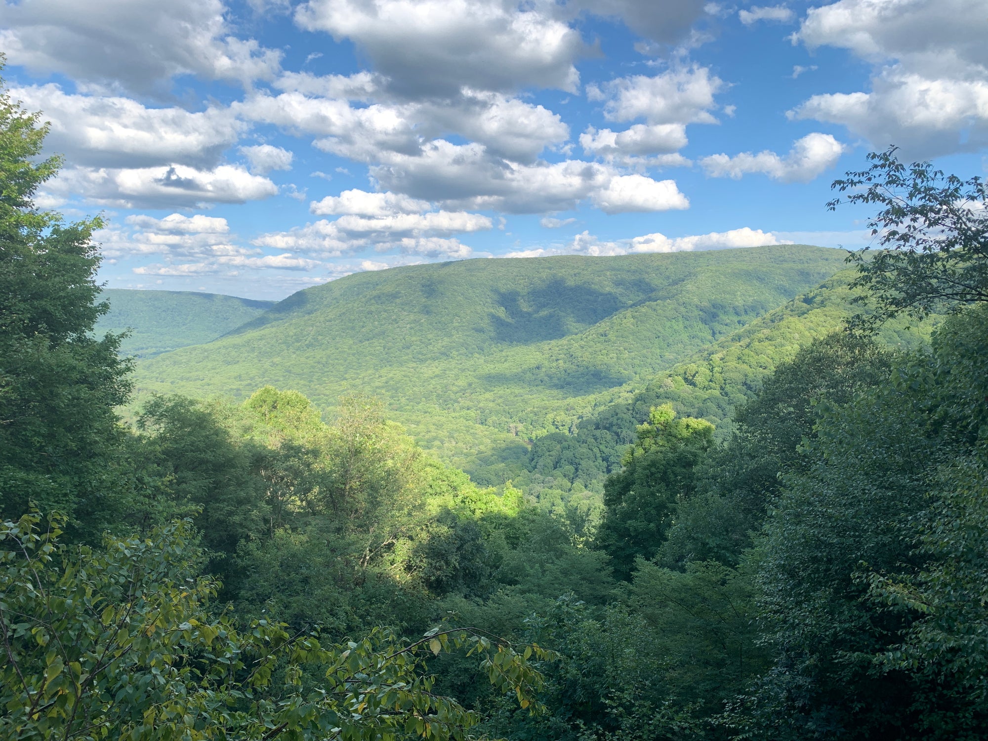 Laurel Highlands Summer 2025 Weekend Trail Run Retreat (August 22nd-24th, 2025)