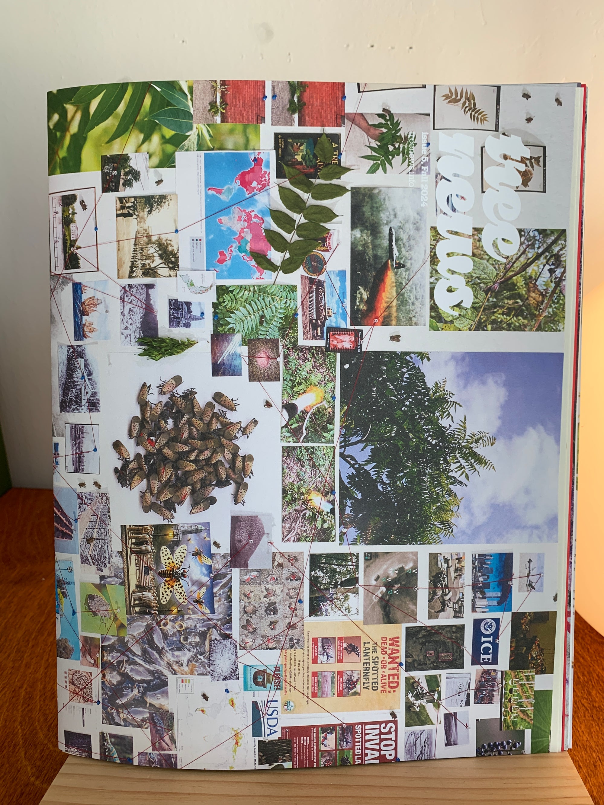 Tree News Issue #5