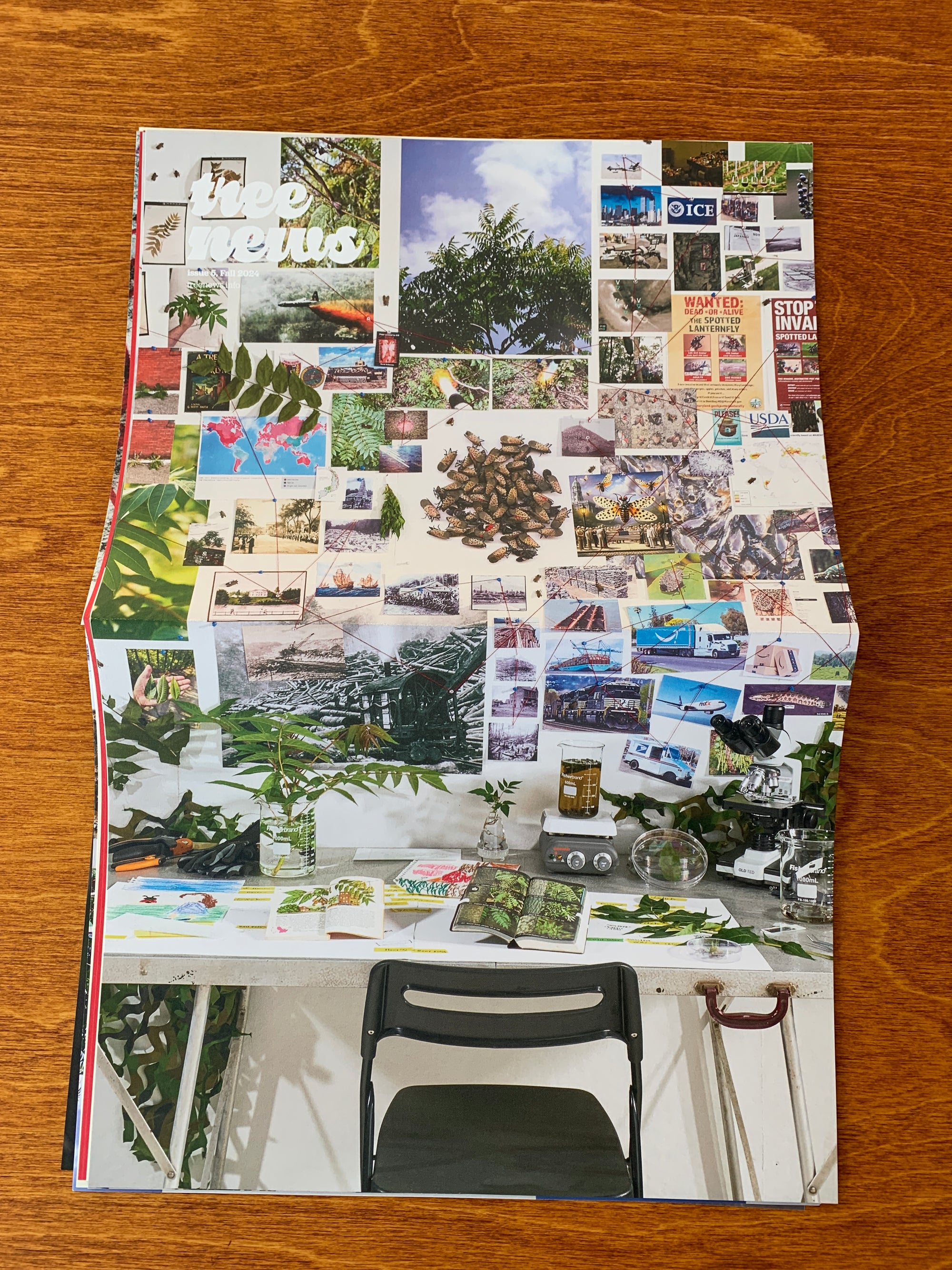Tree News Issue #5