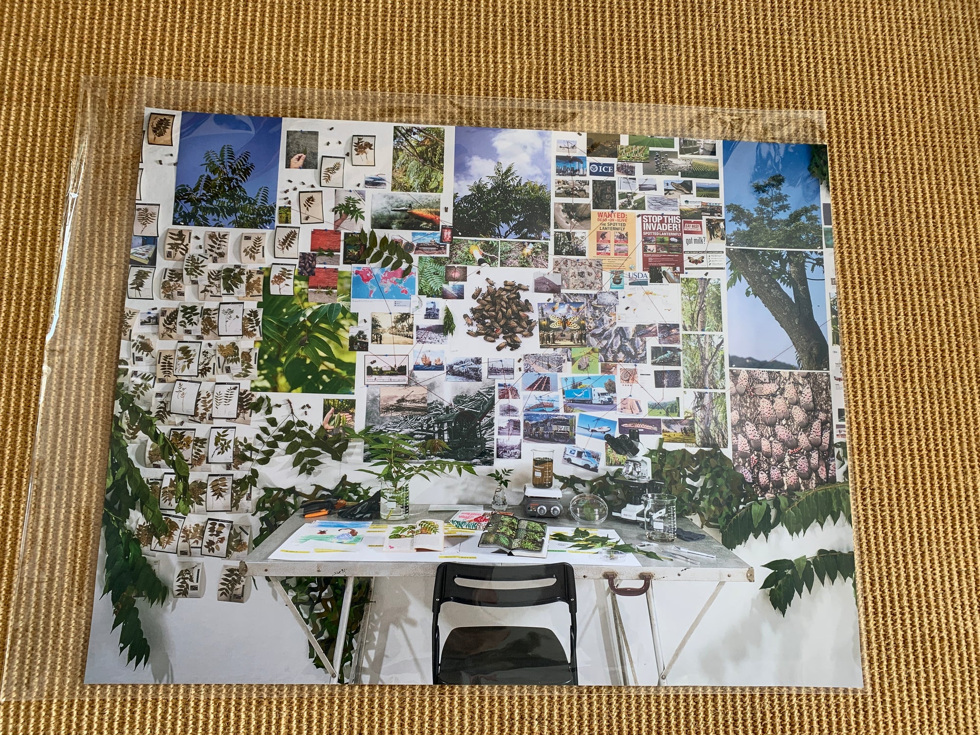 Tree News Issue 5 Poster
