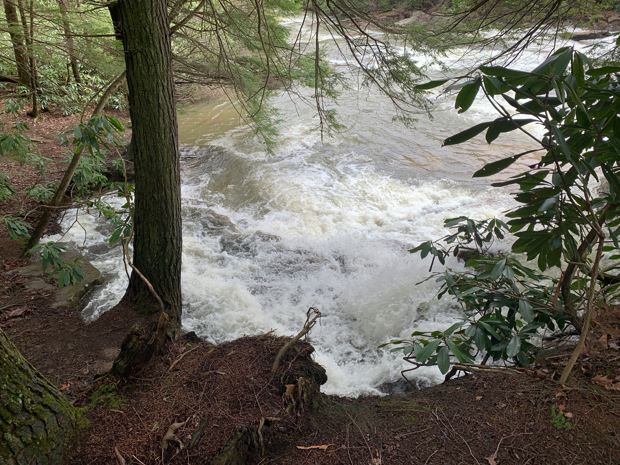 Laurel Highlands Summer 2025 Weekend Trail Run Retreat (August 22nd-24th, 2025)