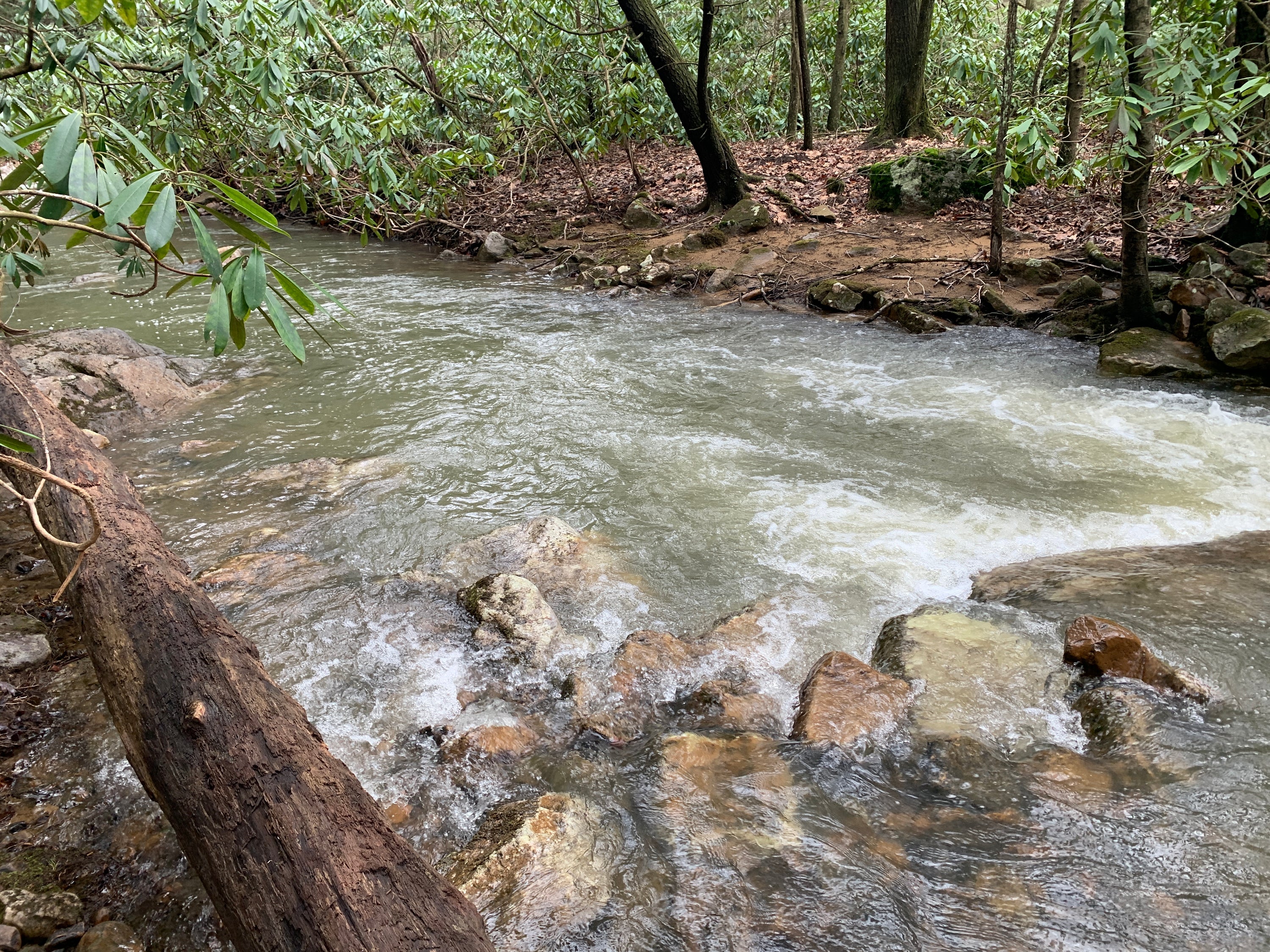Laurel Highlands Summer 2025 Weekend Trail Run Retreat (August 22nd-24th, 2025)