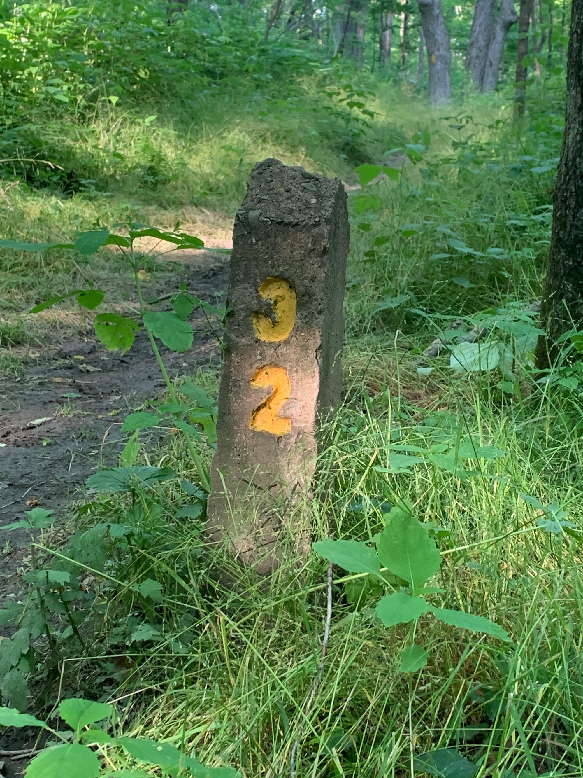 Laurel Highlands Summer 2025 Weekend Trail Run Retreat (August 22nd-24th, 2025)