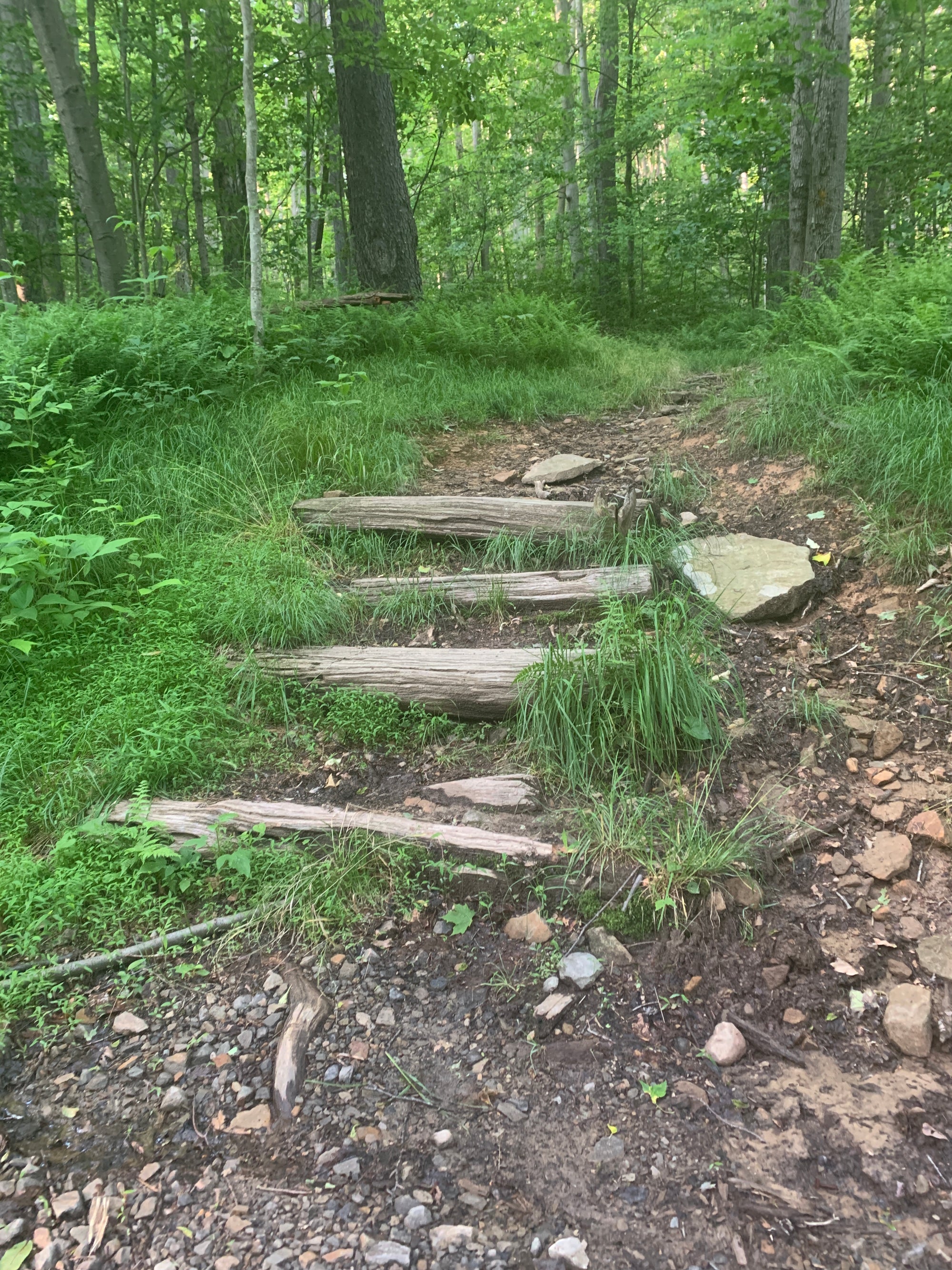 Laurel Highlands Summer 2025 Weekend Trail Run Retreat (August 22nd-24th, 2025)