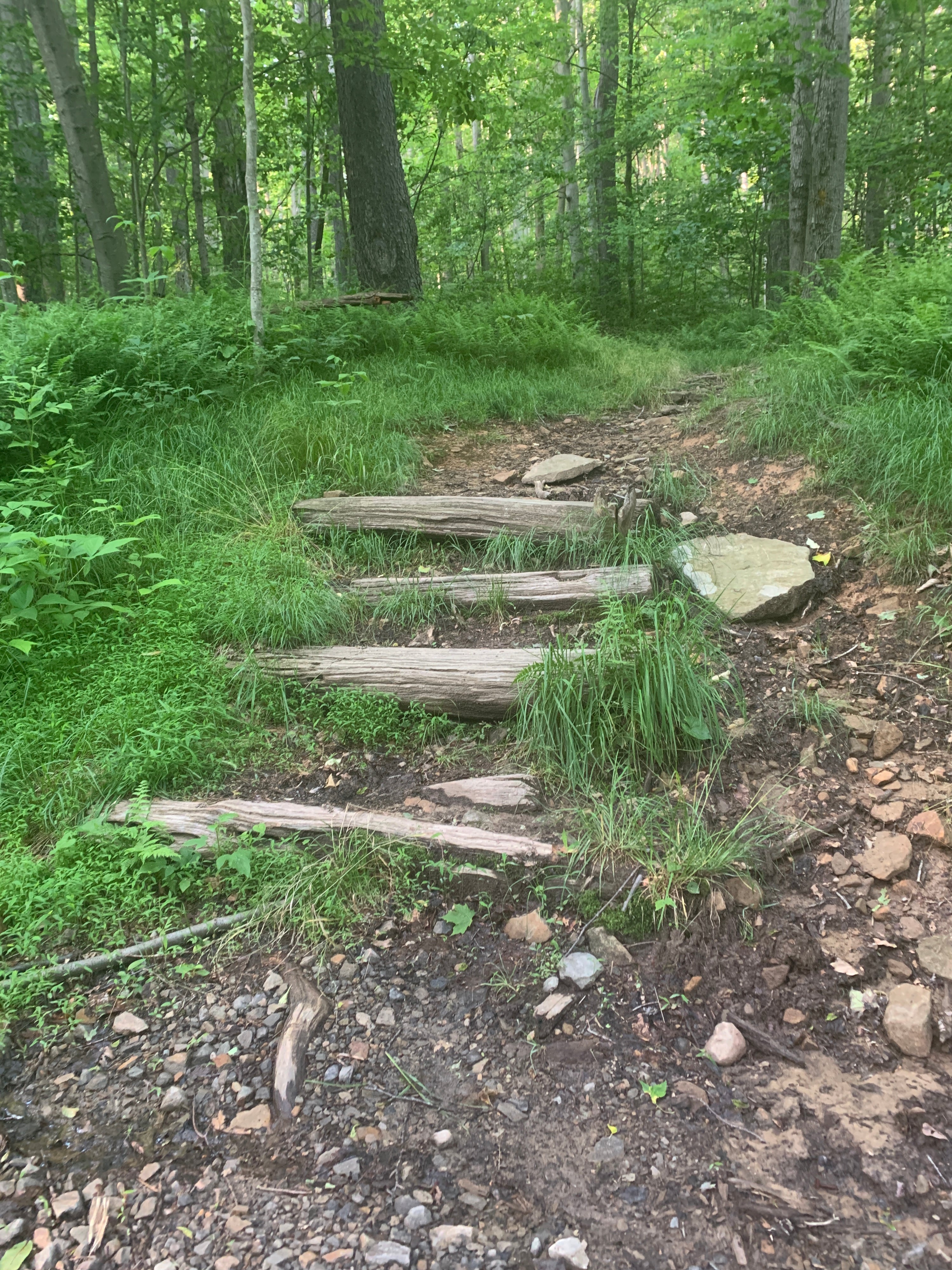 Laurel Highlands Summer 2025 Weekend Trail Run Retreat (August 22nd-24th, 2025)