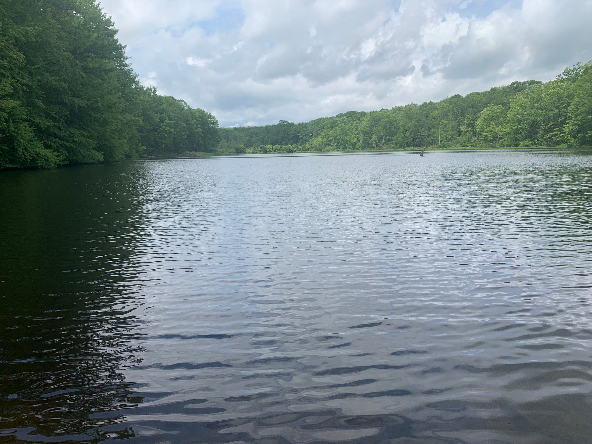 Laurel Highlands Summer 2025 Weekend Trail Run Retreat (August 22nd-24th, 2025)