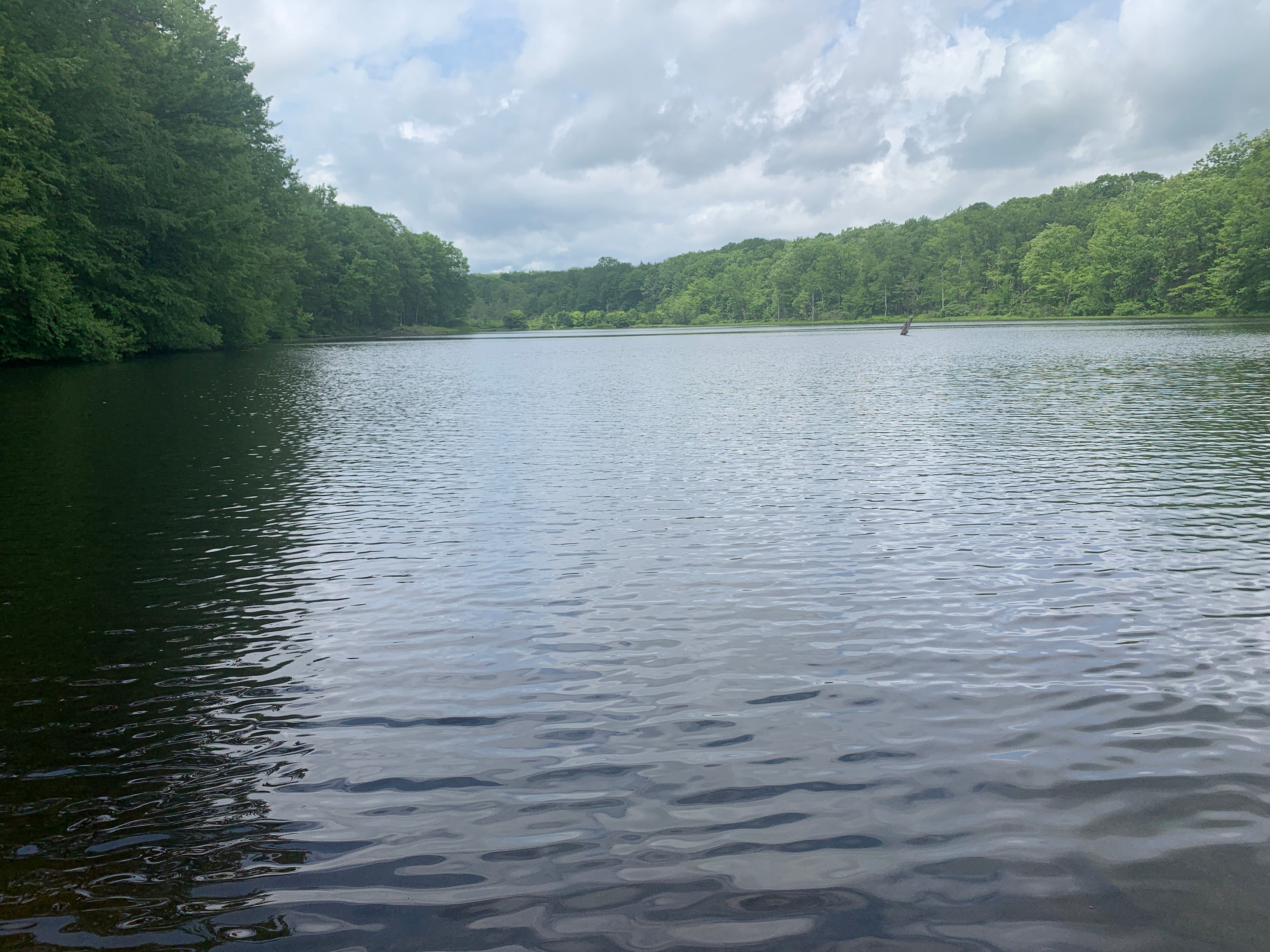 Laurel Highlands Summer 2025 Weekend Trail Run Retreat (August 22nd-24th, 2025)