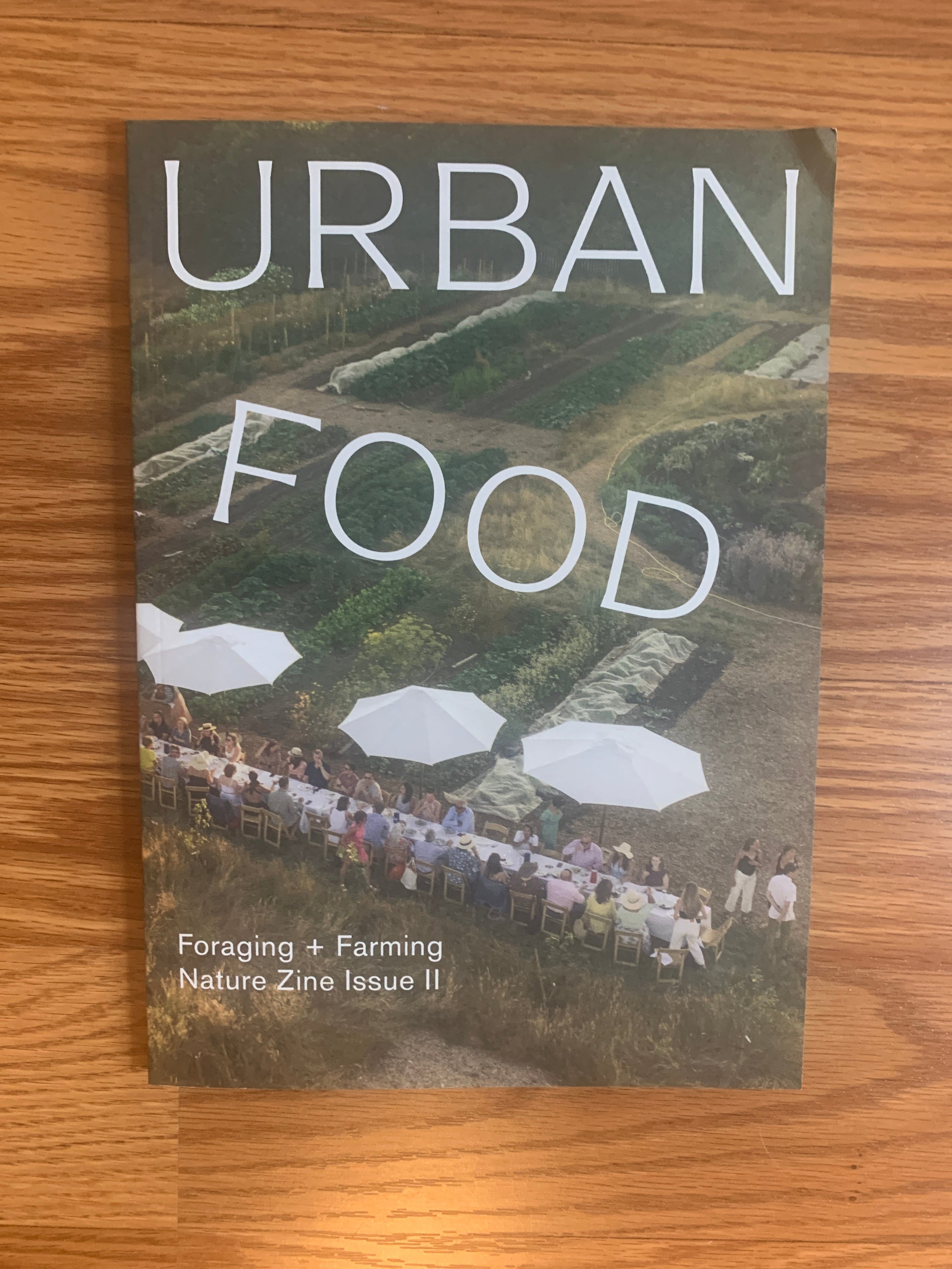 Nature Zine Issue II (Urban Food)
