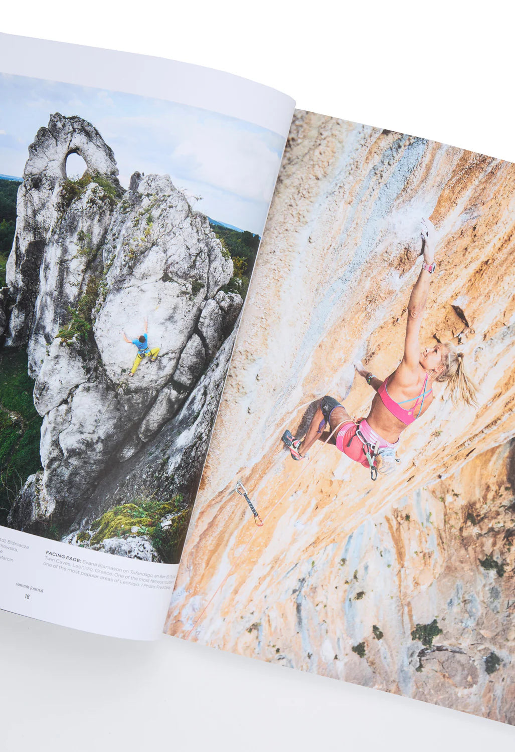 Summit Journal #323, Fall 2025 Issue