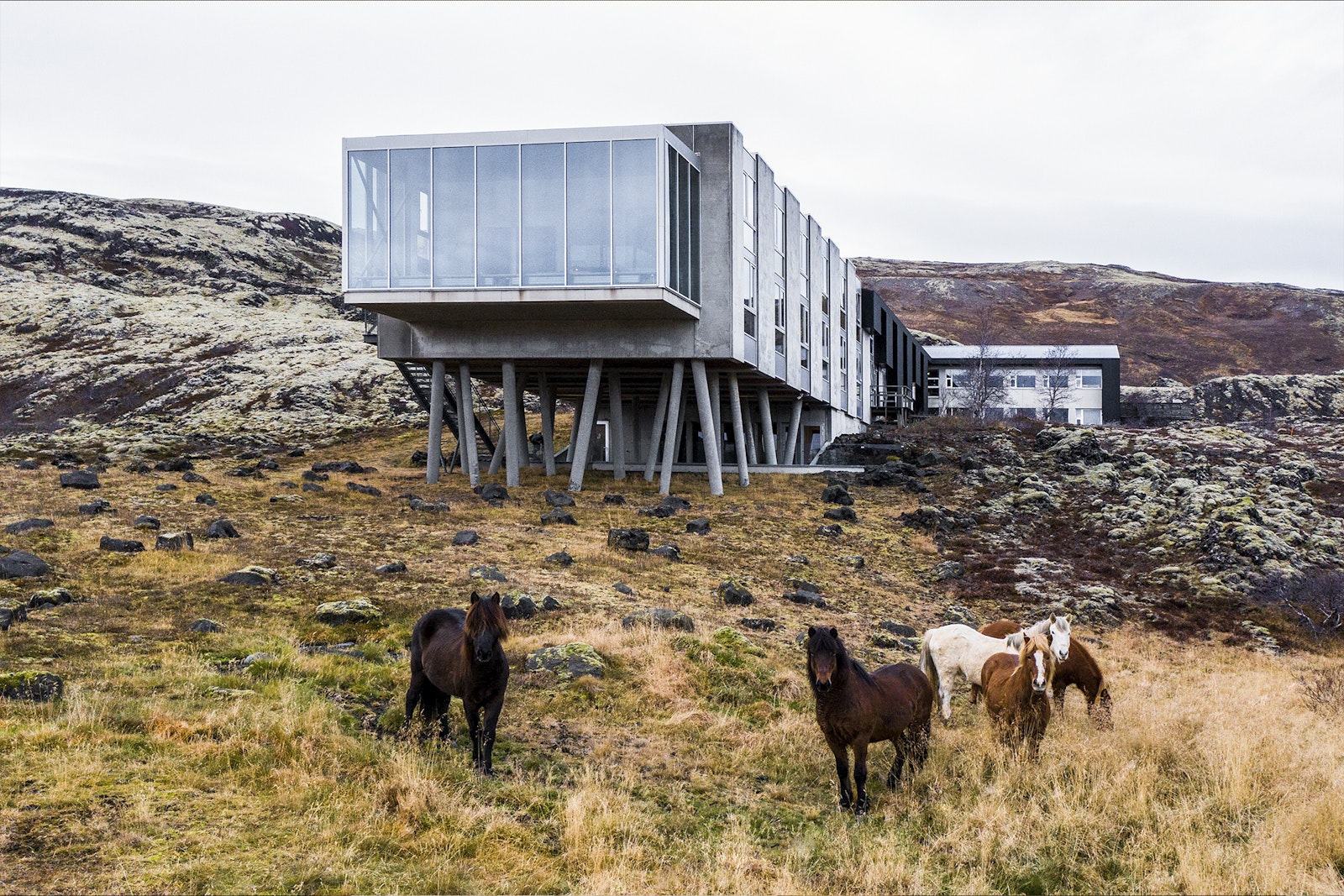 Designed to Stay (Design Hotels Book)